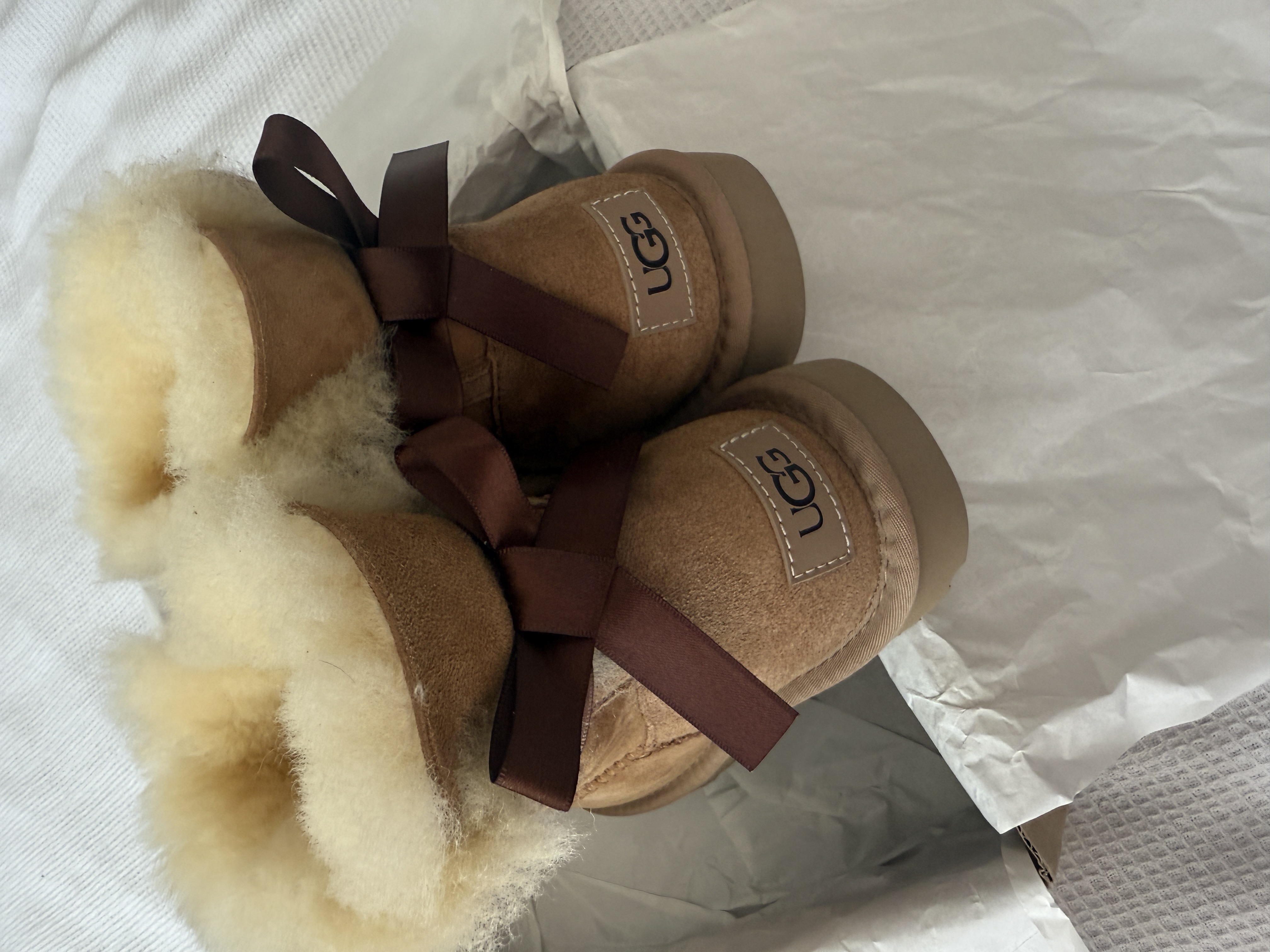 רקע AligaliFinds 19