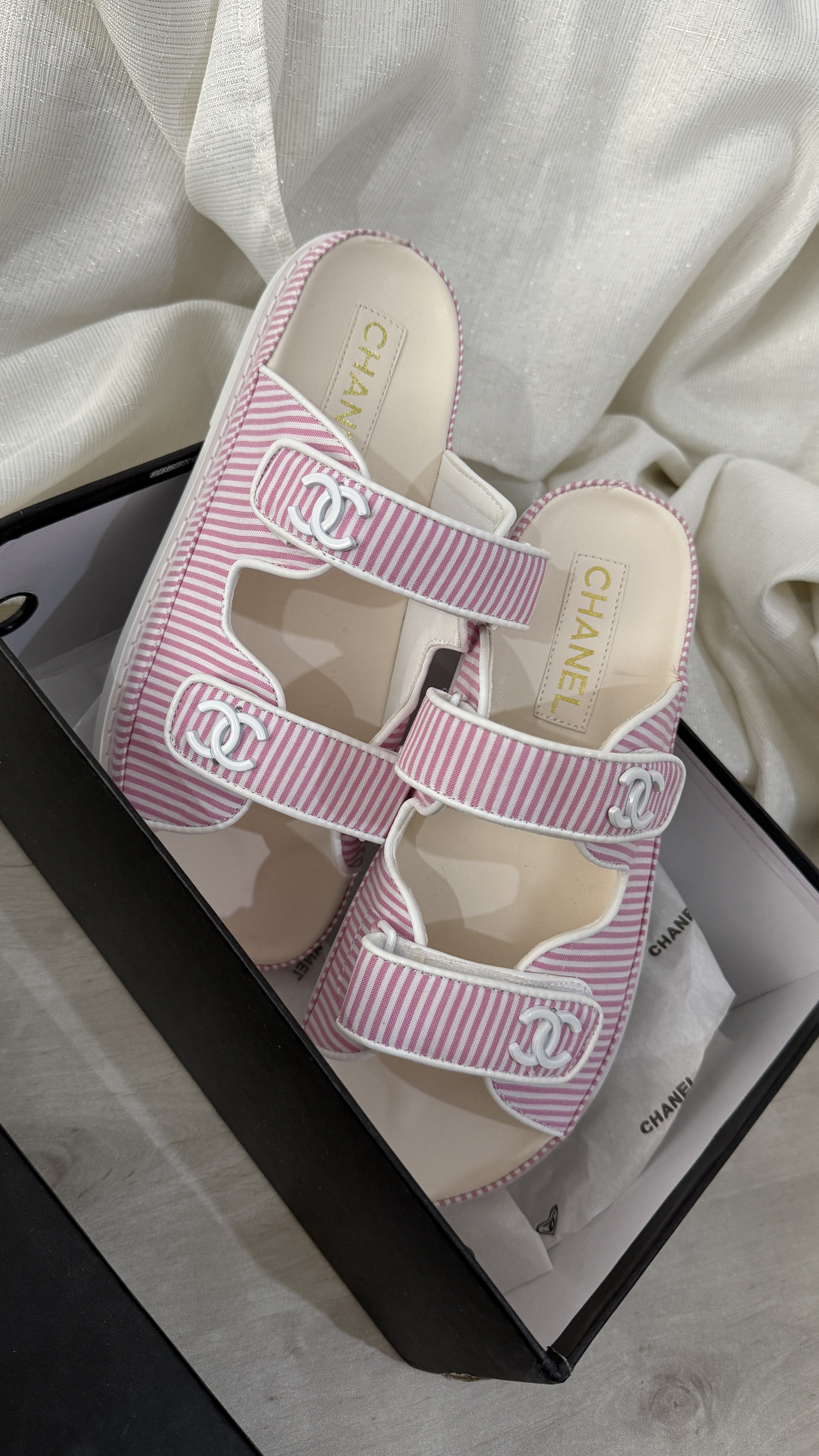 רקע AligaliFinds 4